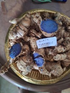 Black Turmeric Finger