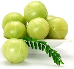 A Grade Green Amla, Packaging Type : Plastic Bag for Human Consumption