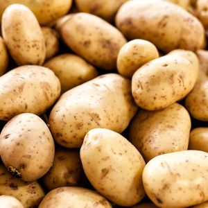 Potatoes, Cultivation Type : Natural for Cooking, Food