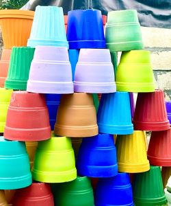 Cement Pot Cement Pot