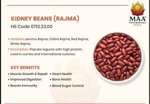 Red Organic Kidney Beans, Packaging Size : 25Kg, 50Kg