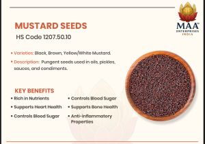 Red Organic Mustard Seeds Food Grade for Cooking, Spices