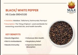 Premium Black Pepper, Mesh Size : 550GL, Moisture : Dry