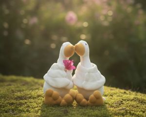 Plush Toys Plush Toys