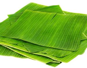 Banana Leaf