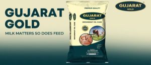 Groundnut Oil Cake Groundnut Oil Cake