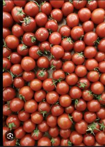 Red Nasik Tomatoes, Cultivation Type : Natural