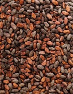 Cocoa Beans