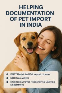 Dgft Licenses Services