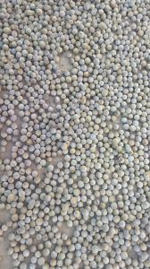 Dry Baheda Dry Baheda