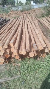 Construction Material Construction Material