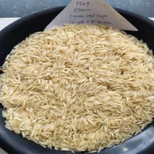 Soft Creamy White Long Grain 1509 Steam Basmati Rice for Cooking