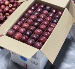 Packaging Apple Boxes