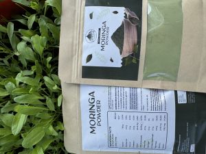 Moringa Powder Form : Powder