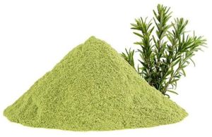Aromatic Rosemary Powder
