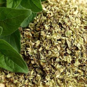 Premium Oregano Herbs