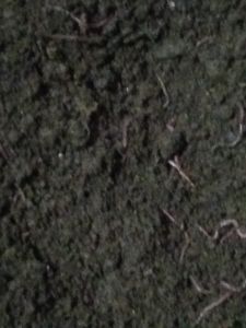 Compost Fertilizer, Color : Dark Brown To Black