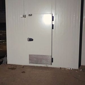 Polished PUF Insulated Doors, Color : Grey