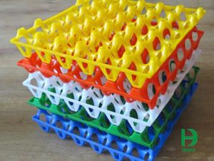 Plastic Egg Trays