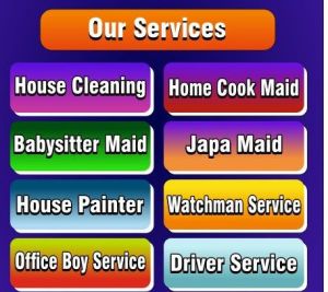 Home Cleaning Service