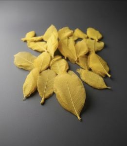 Longlips Flower Stick