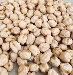 Kabuli Chana White Chickpeas, Brand Name : Veda 10, Grade : Export