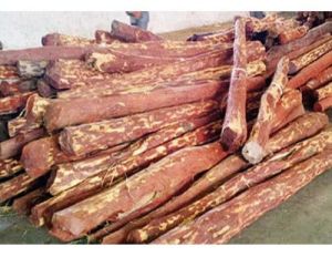 Non Grinded Natural Red Sandalwood Logs, Thickness : 50-75mm