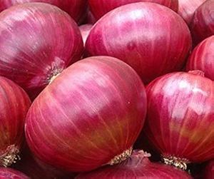 Red Onions, Packaging Size : 50Kg Loose