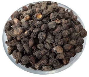 Large Dark Brown to Black Natural Jamun Seed, Packaging Size : 50g