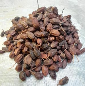 Neem Seeds, Color : Brown, Purity : Dride, Packaging Type : PP Bag