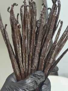 Indonesia Vanilla Beans