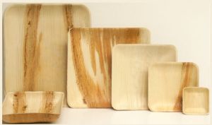 Areca Leaf Square Plates, Color : Natural