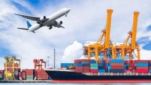 Shipping Export and Import Custom Clearance