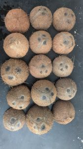 Natural Coconut Shell, Color : Brown Dried for Handicraft