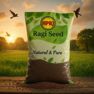 1kg Hprj Birdie'S Ragi Seeds for Human Consumption