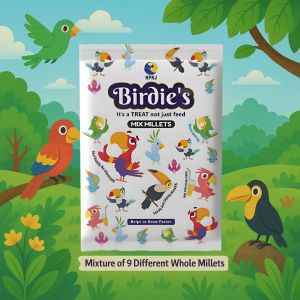 500g Birdie'S Mix Millet Birds Food, for Small Size Birds