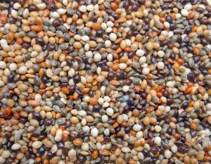 750g Natural Whole Mixed Millet Seeds, Grade Standard : Food Grade
