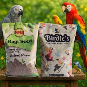 Birdie'S Ragi Millet and Mix Bird Seeds Combo