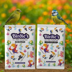 Birdie'S Sunflower Seeds and Mix Millet Bird Seeds Combo