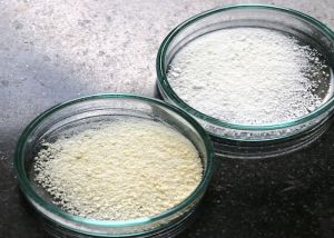 Benzoyl Peroxide, Color : Off-white, White, Form : Powder