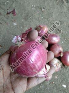 Farm Vegetables, Packaging Size : 10 Kg, Packaging Type : Gunny Bag