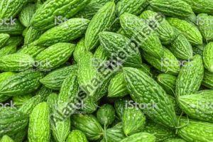 Fresh Bitter Gourd For Cooking