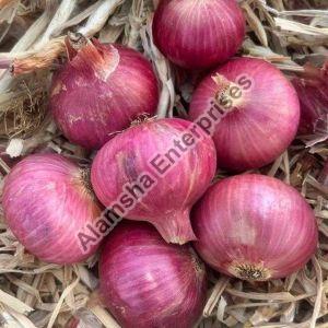 B Grade Onions, Packaging Size : 20 Kg Jute Bag