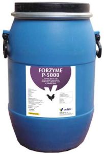 Vetline Forzyme P 5000 Powder, Color : White, Packaging Size : 25kg