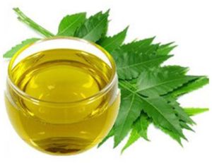 Organic Neem Oil