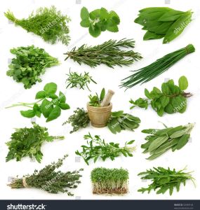 Pure and Natural Herbs