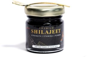 Resin Ayurvedic Shudh Shilajit, Color : Black, Weight : 20 gram