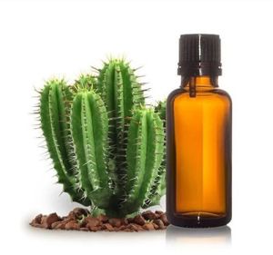 Cactus Seed Oil, Color : Pale Yellow, Packaging Type : Glass Bottels