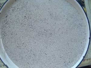 Ultra Low Carbon Rice Husk Ash Powder