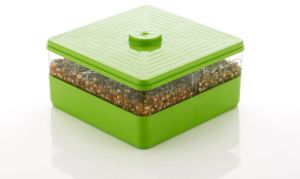 Food-grade Plastic Premium Sprout Maker 1 Line, Shape : Rectangular